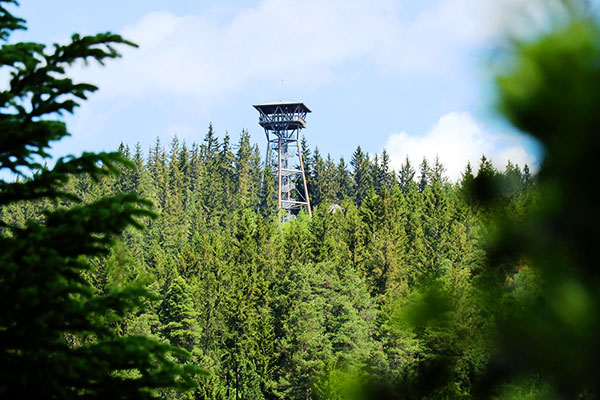 Vom Riesenbühlturm aus hat man einen herrlichen Blick über den Schluchsee