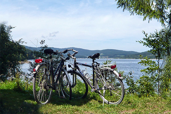 Fahrradtour entlang des Sees