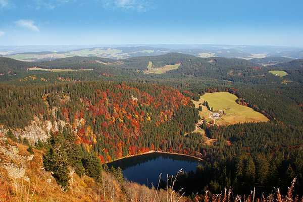 Blick vom Feldberg (1493 m) über den Schwarzwald